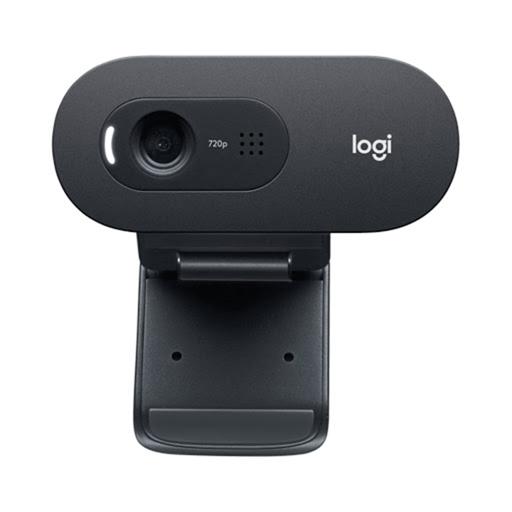 Webcam Logitech C505e 960-001372