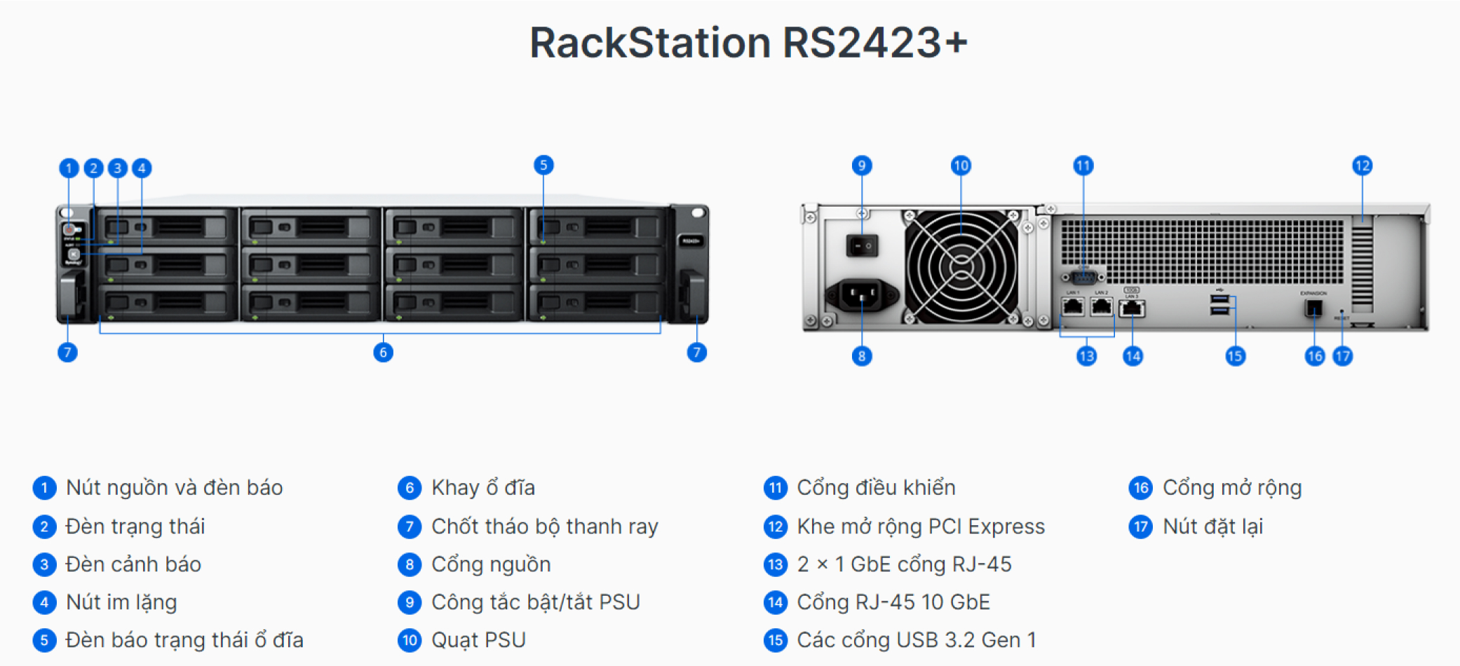 RS2423+