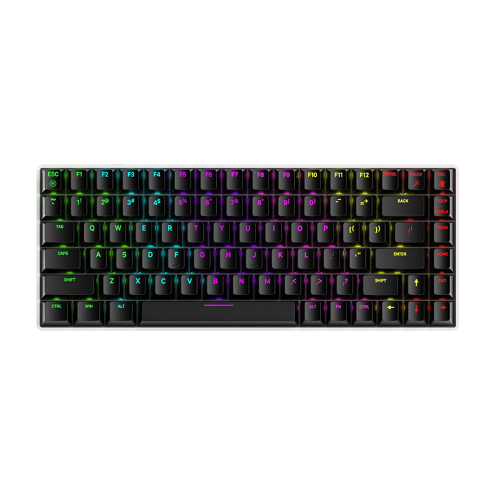 Bàn phím cơ Dareu EK884 RGB (Blue/ Brown/ Red Switch)