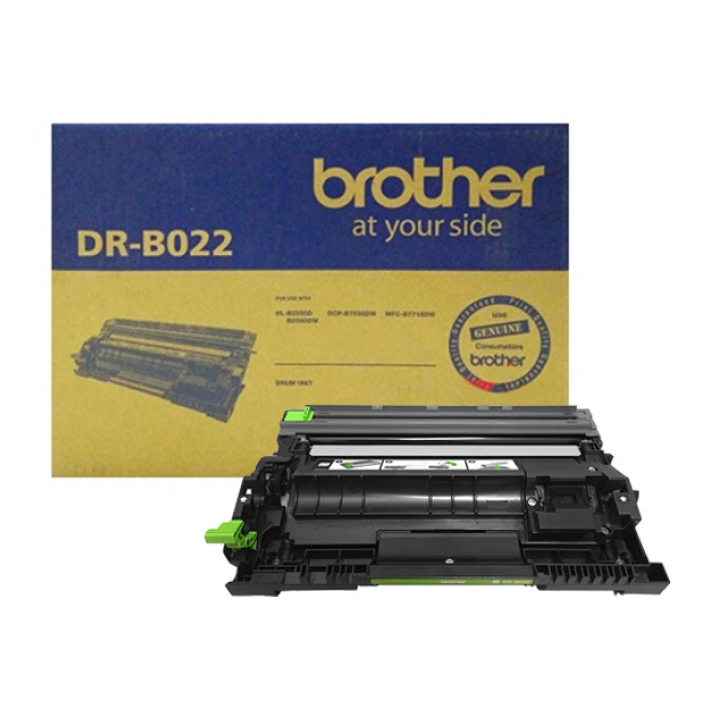 Trống máy in laser Brother DR-B022