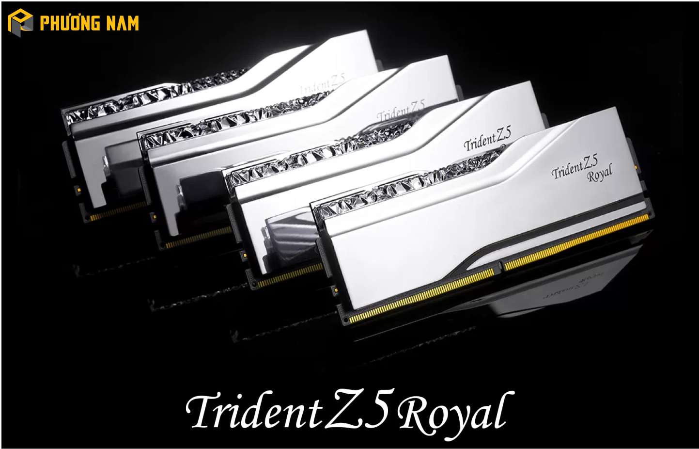 Ram PC G.SKILL Trident Z5 Royal F5-6400J3239G16GX2-TR5S (32GB (2x16GB) DDR5 6400MHz)