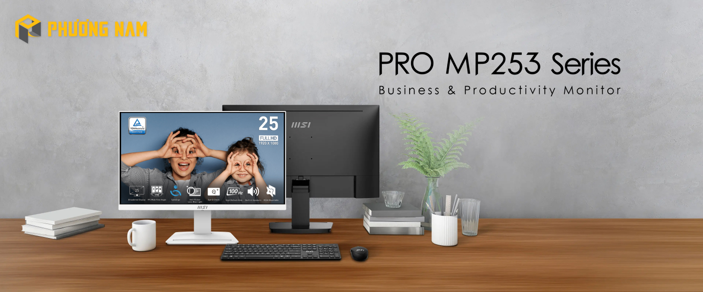 Màn Hình MSI PRO MP253W 24.5″ FHD IPS 100Hz