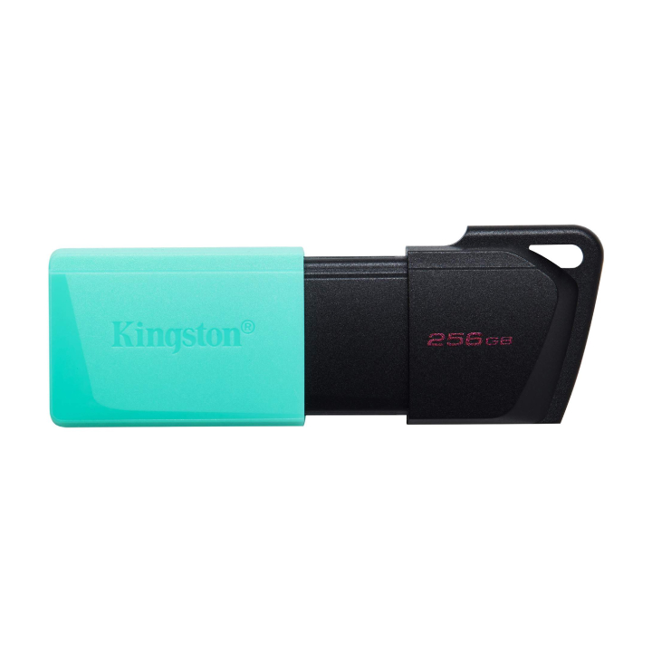 USB 256GB Kingston DataTraveler Exodia M DTXM/256GB