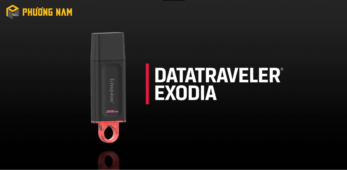 USB 256GB Kingston DataTraveler Exodia DTX/256GB